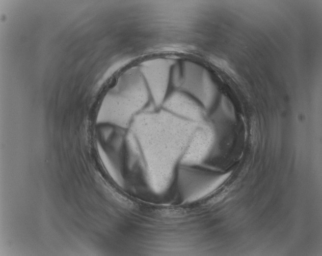 X0000062791404200601121302