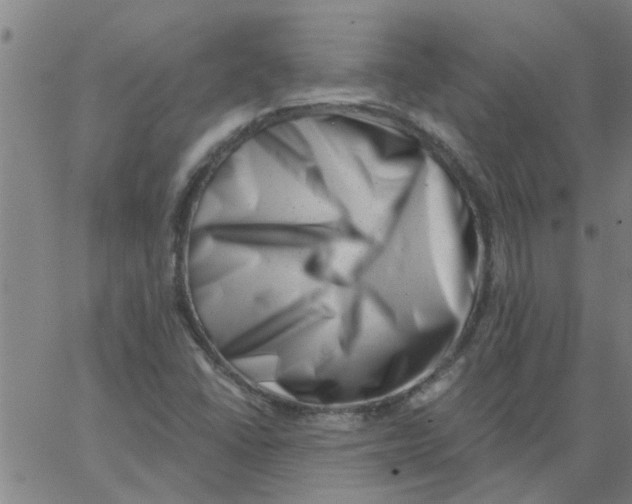 X0000062791406200601121302