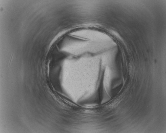 X0000062791412200601121303