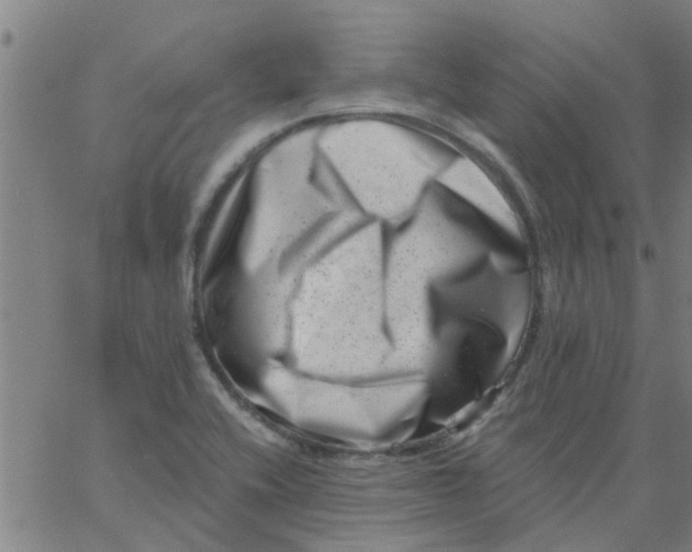 X0000062791416200601121303