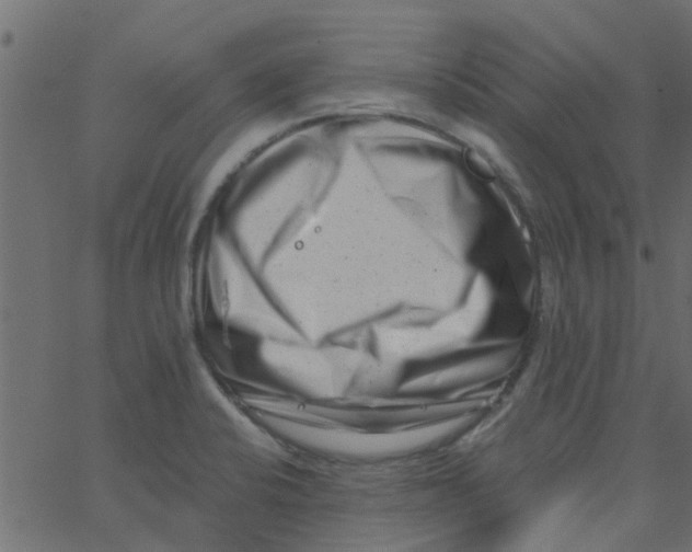 X0000062791424200601121303