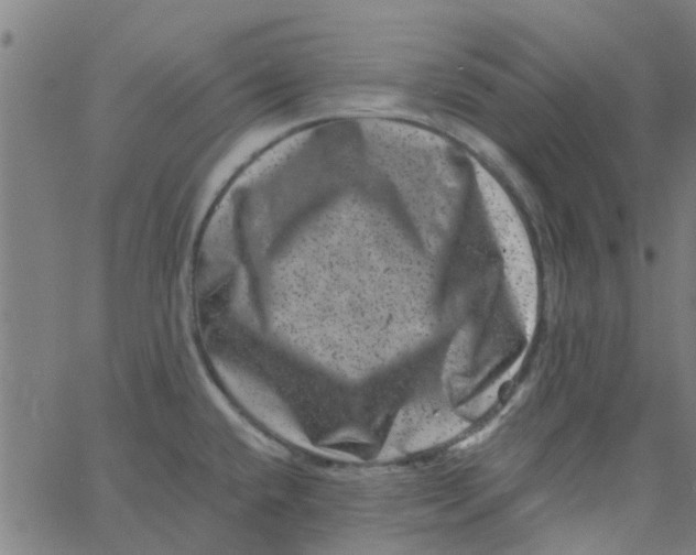 X0000062791432200601121303