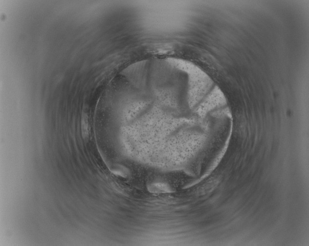 X0000062791442200601121302