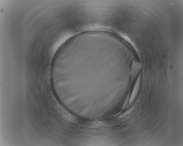 X0000062791463200601121302