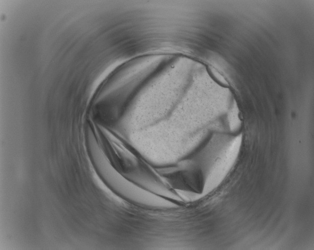 X0000062791476200601121302