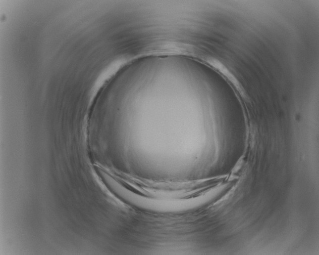 X0000062791477200601121302
