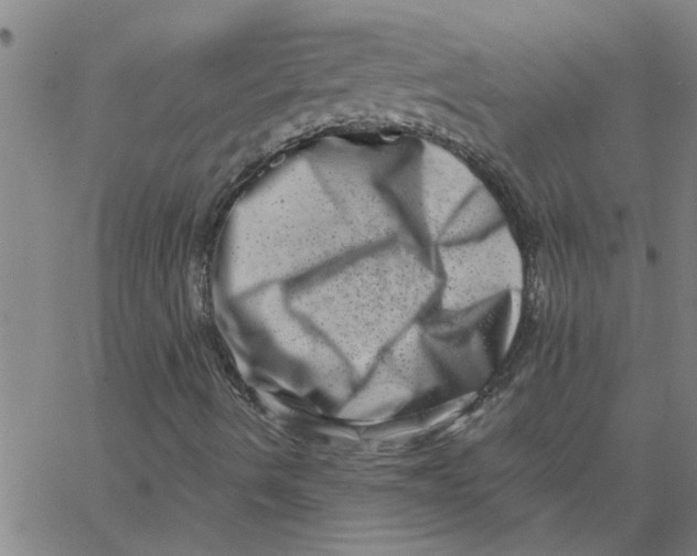 X0000062791490200601121301