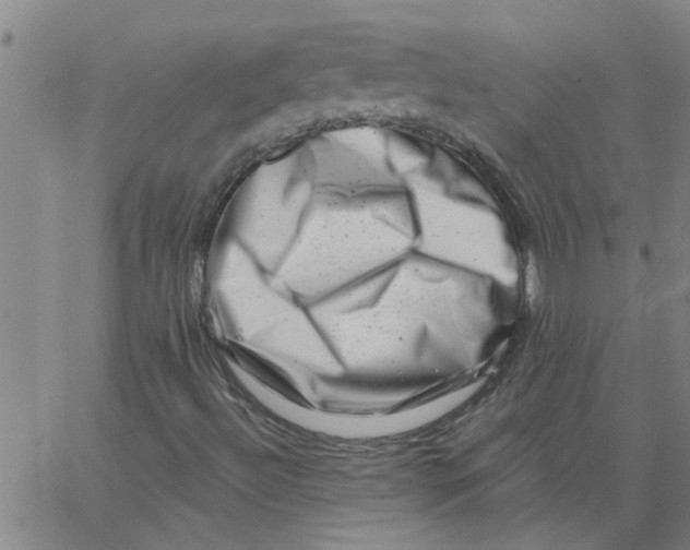 X0000062791492200601121301