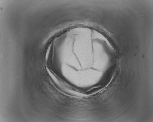 X0000062791496200601121301