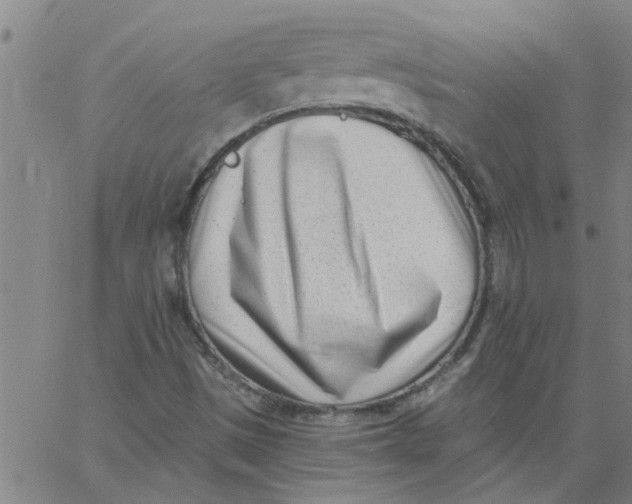 X0000062791497200601121301