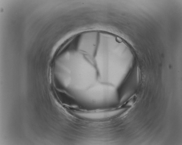X0000062791510200601121301