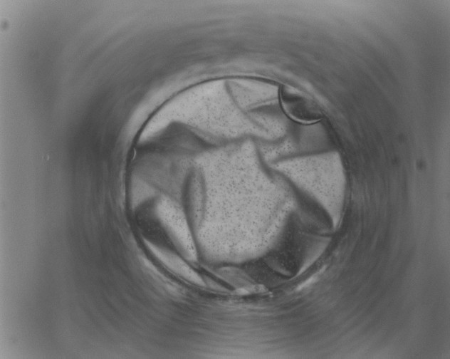X0000062791512200601121301