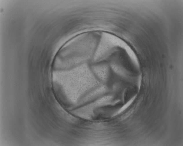 X0000062791516200601121301
