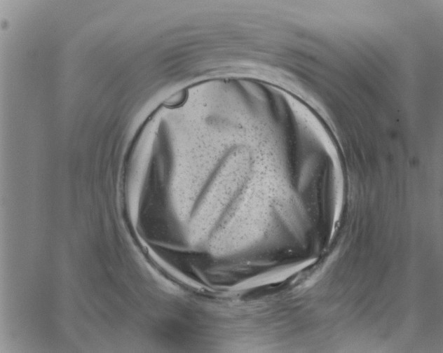 X0000062791533200601121301