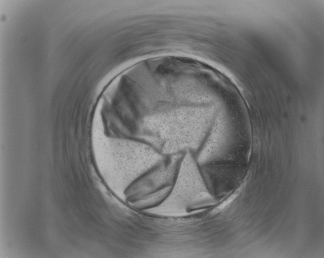 X0000062791534200601121301