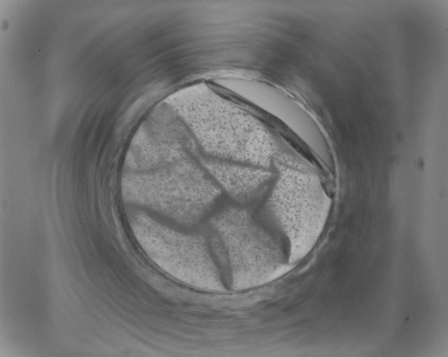 X0000062790001200601191936