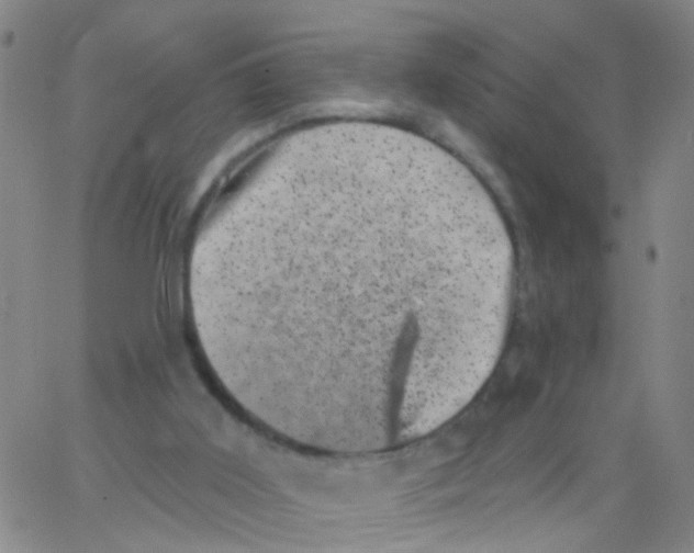 X0000062790011200601191935