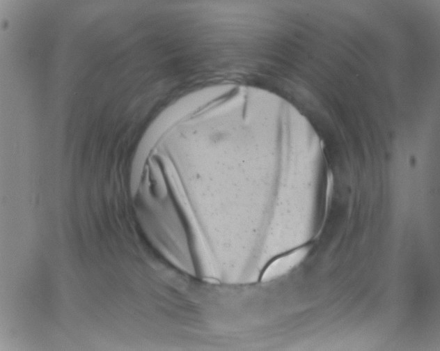 X0000062790037200601191935