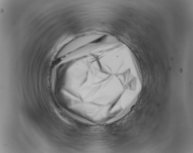 X0000062790050200601191934