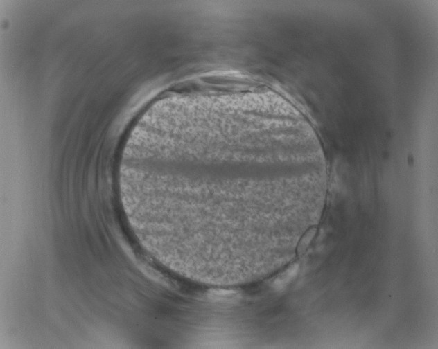 X0000062790055200601191934