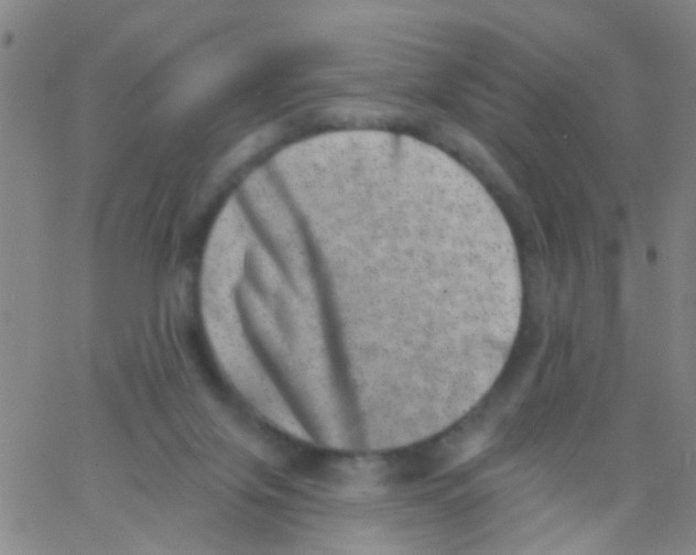 X0000062790071200601191934