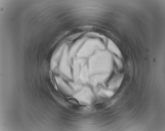 X0000062790092200601191935