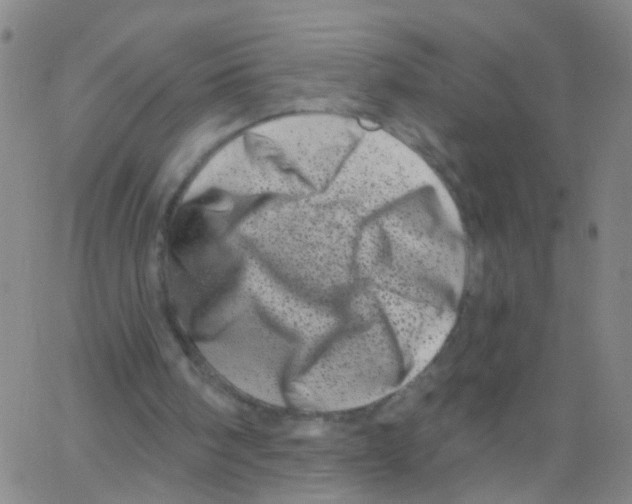 X0000062790098200601191934