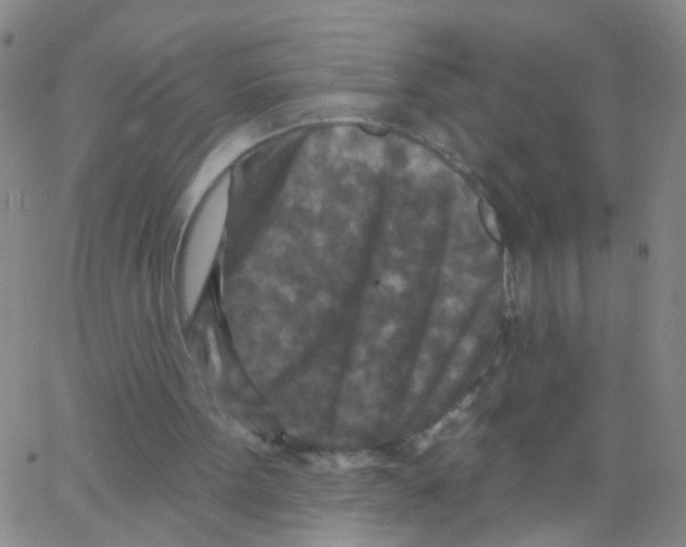 X0000062790099200601191934