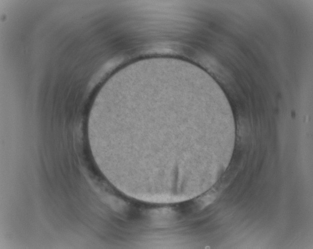 X0000062790112200601191934