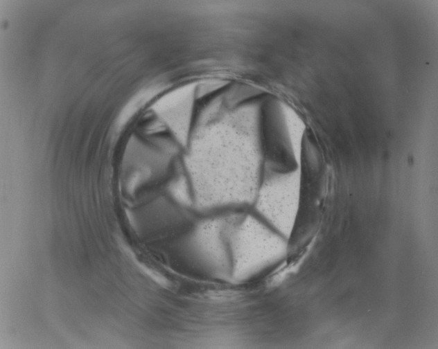 X0000062790150200601191933