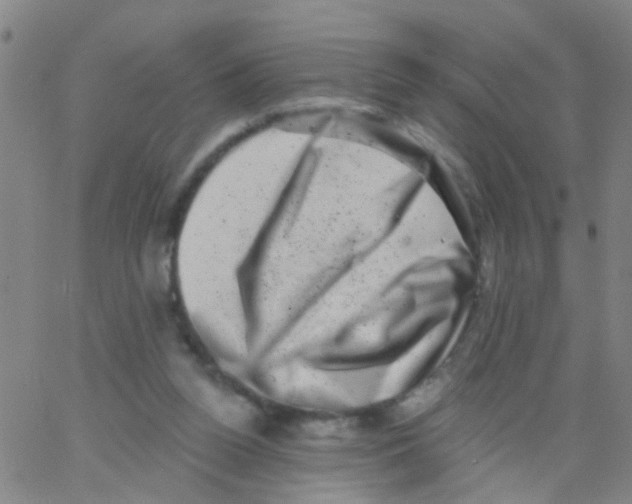 X0000062790160200601191933