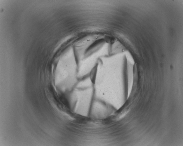 X0000062790164200601191933