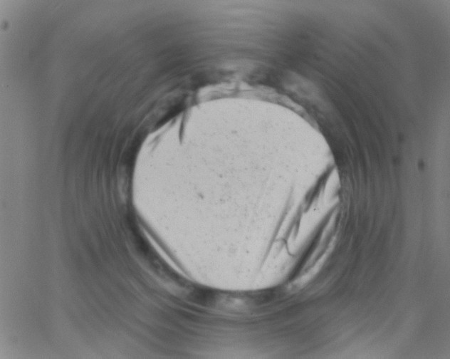X0000062790174200601191933