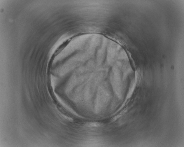 X0000062790195200601191932