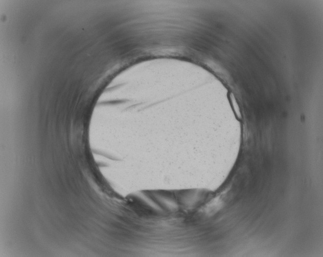 X0000062790201200601191932