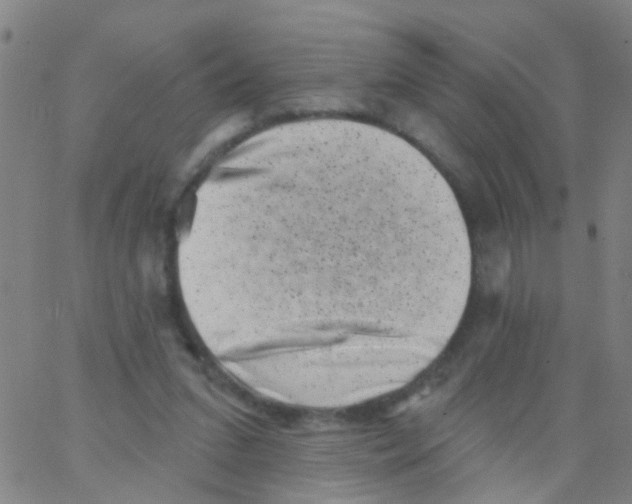 X0000062790207200601191932