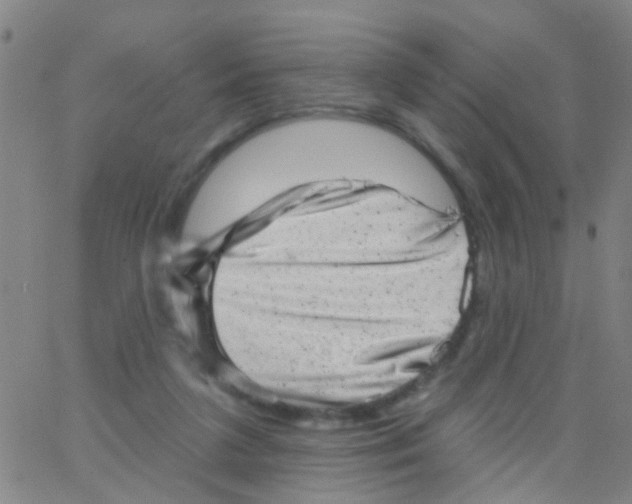 X0000062790211200601191932
