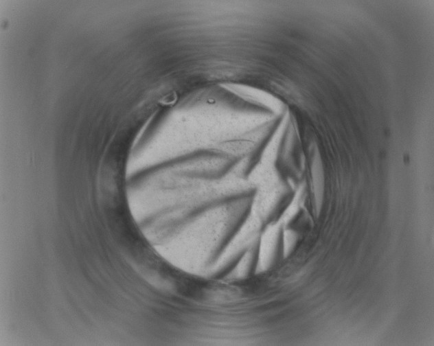 X0000062790215200601191932