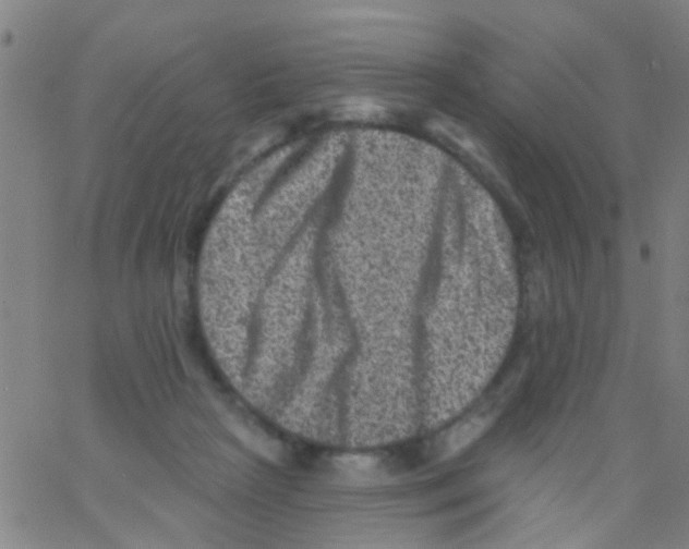 X0000062790265200601191931