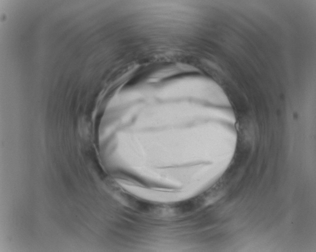 X0000062790276200601191931