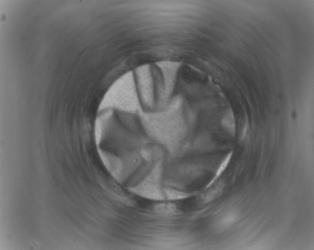 X0000062790279200601191932