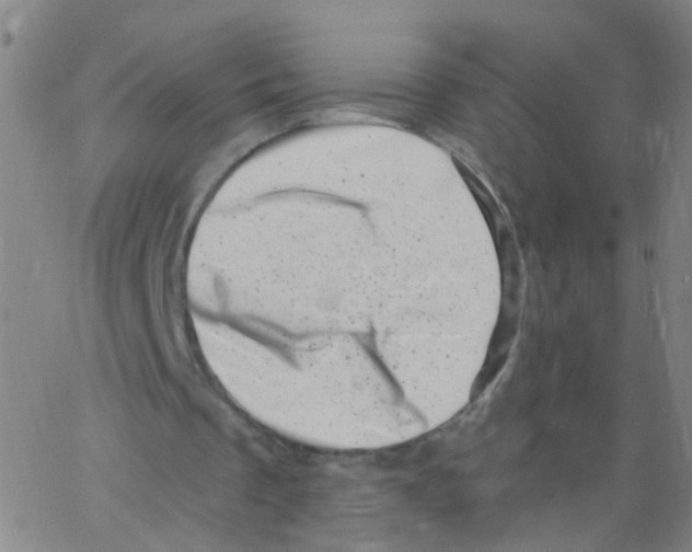 X0000062790289200601191931