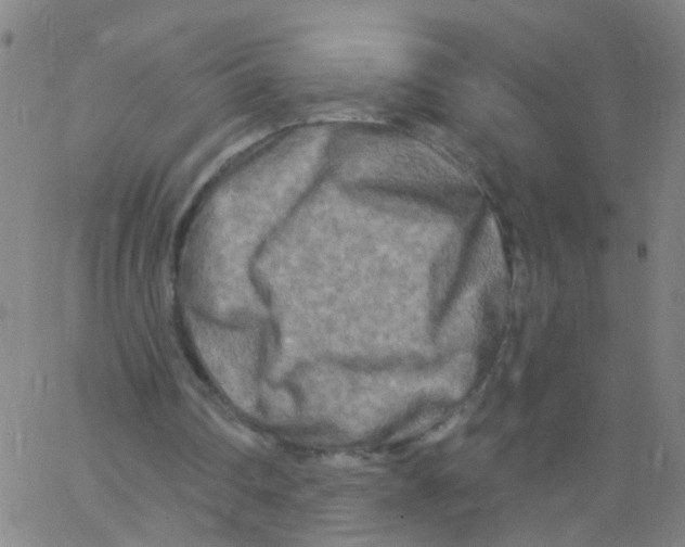 X0000062790290200601191931