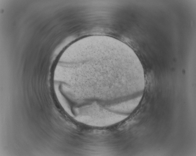 X0000062790292200601191931