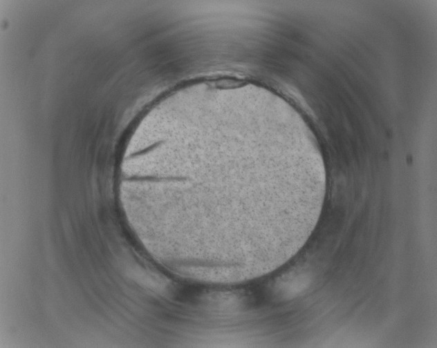 X0000062790299200601191931