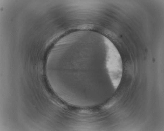 X0000062790303200601191931