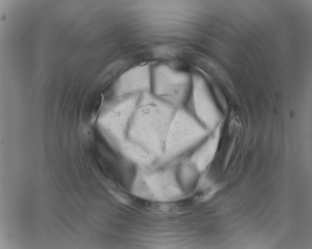 X0000062790329200601191930