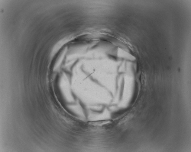X0000062790340200601191929