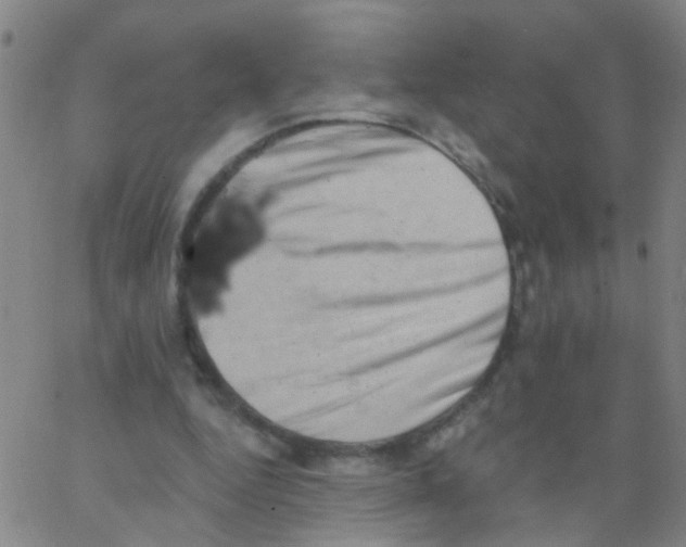 X0000062790344200601191929