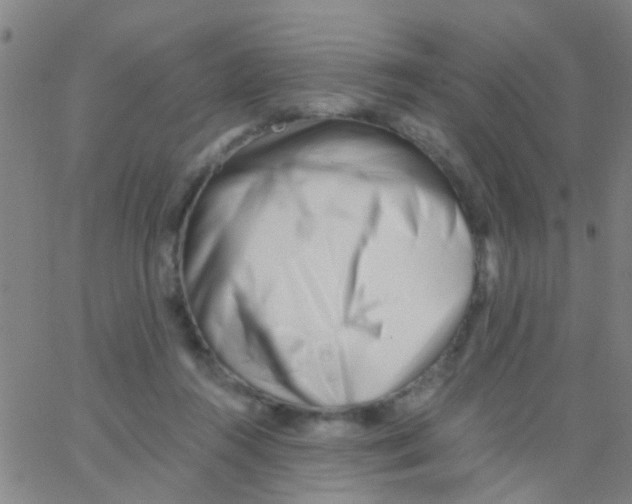X0000062790360200601191930